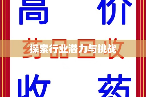 新乡探索行业潜力与挑战