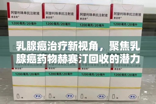 新乡乳腺癌治疗新视角，聚焦乳腺癌药物赫赛汀回收的潜力与挑战