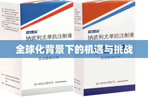 新乡全球化背景下的机遇与挑战
