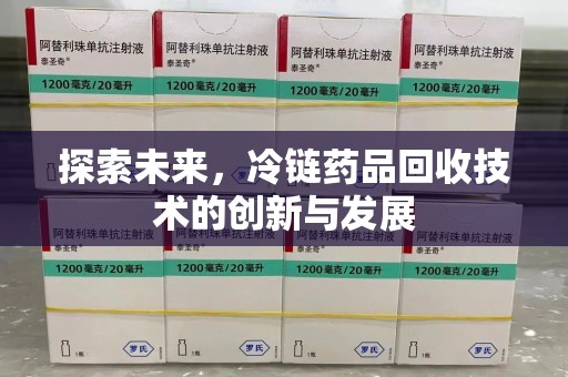 新乡探索未来，冷链药品回收技术的创新与发展
