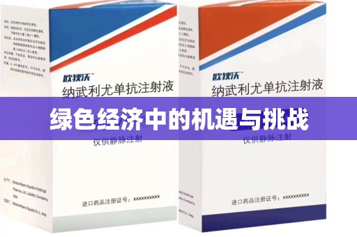新乡绿色经济中的机遇与挑战
