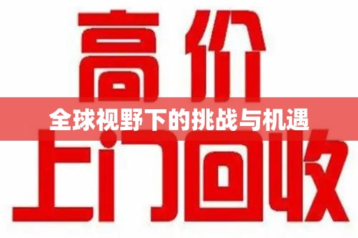 新乡全球视野下的挑战与机遇