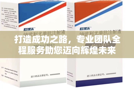 新乡打造成功之路，专业团队全程服务助您迈向辉煌未来