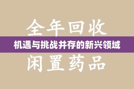 新乡机遇与挑战并存的新兴领域