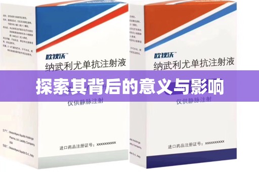 新乡探索其背后的意义与影响