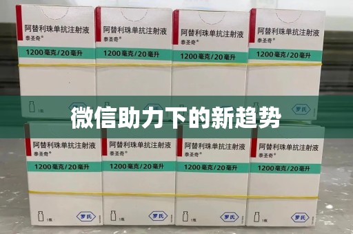 新乡微信助力下的新趋势