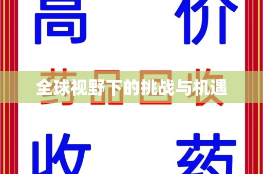 新乡全球视野下的挑战与机遇