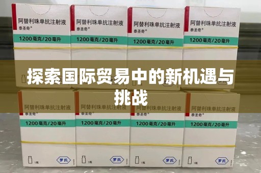 新乡探索国际贸易中的新机遇与挑战