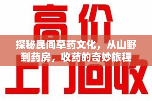 新乡探秘民间草药文化，从山野到药房，收药的奇妙旅程