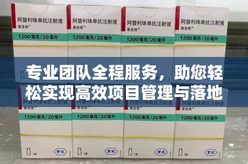 新乡专业团队全程服务，助您轻松实现高效项目管理与落地