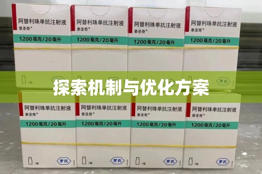 新乡探索机制与优化方案